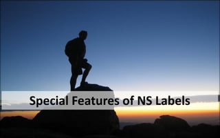 Ns labels company profile Slide 12