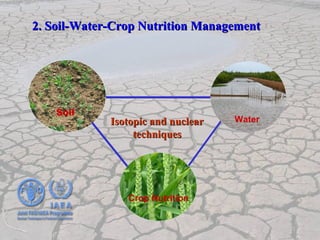 Nuclear Techniques in Food and Agriculture | PPT