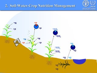 Nuclear Techniques in Food and Agriculture | PPT