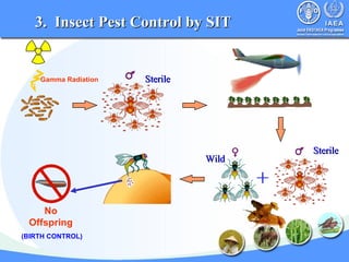 Nuclear Techniques in Food and Agriculture | PPT