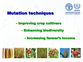 Nuclear Techniques in Food and Agriculture | PPT