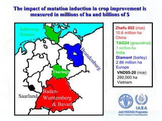 Nuclear Techniques in Food and Agriculture | PPT