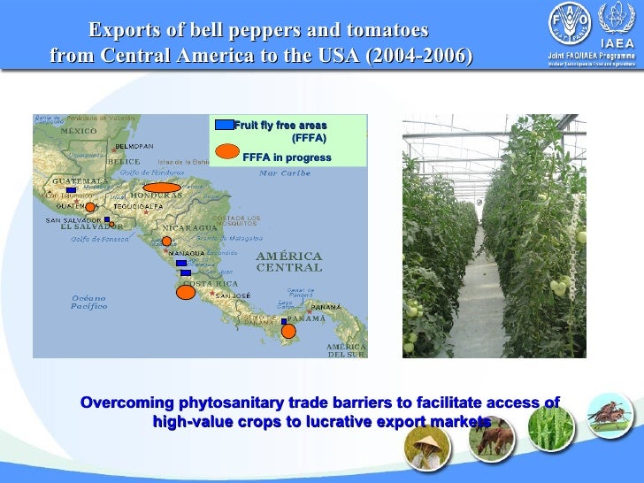 High Value Food Export Definition High Value Food Export Definition