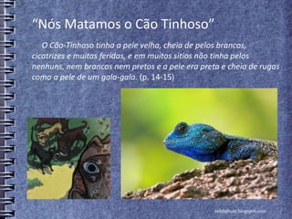 “Nós Matamos o Cão Tinhoso”
O Cão-Tinhoso tinha a pele velha, cheia de pelos brancos,
cicatrizes e muitas feridas, e em muitos sítios não tinha pelos
nenhuns, nem brancos nem pretos e a pele era preta e cheia de rugas
como a pele de um gala-gala. (p. 14-15)
rafabebum.blogspot.com
 