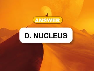 ANSWER
D. NUCLEUS
 