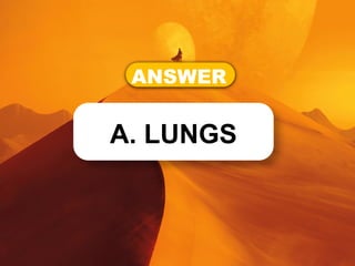 ANSWER
A. LUNGS
 