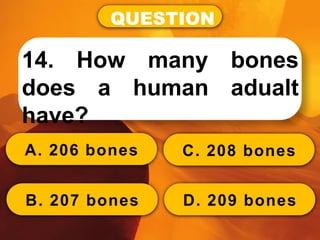 QUESTION
14. How many bones
does a human adualt
have?
A. 206 bones
B. 207 bones
C. 208 bones
D. 209 bones
 