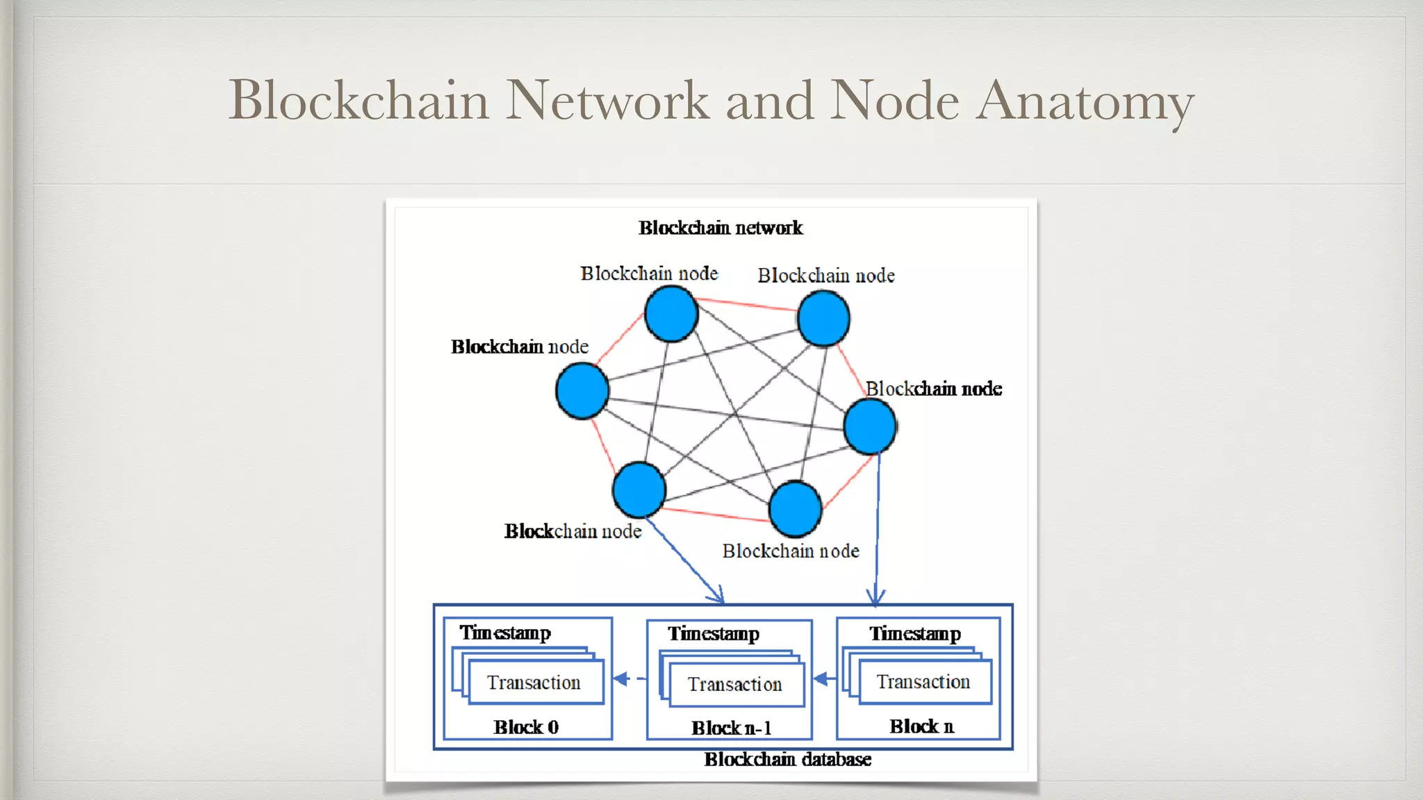 Blockchain Network and Node Anatomy
 