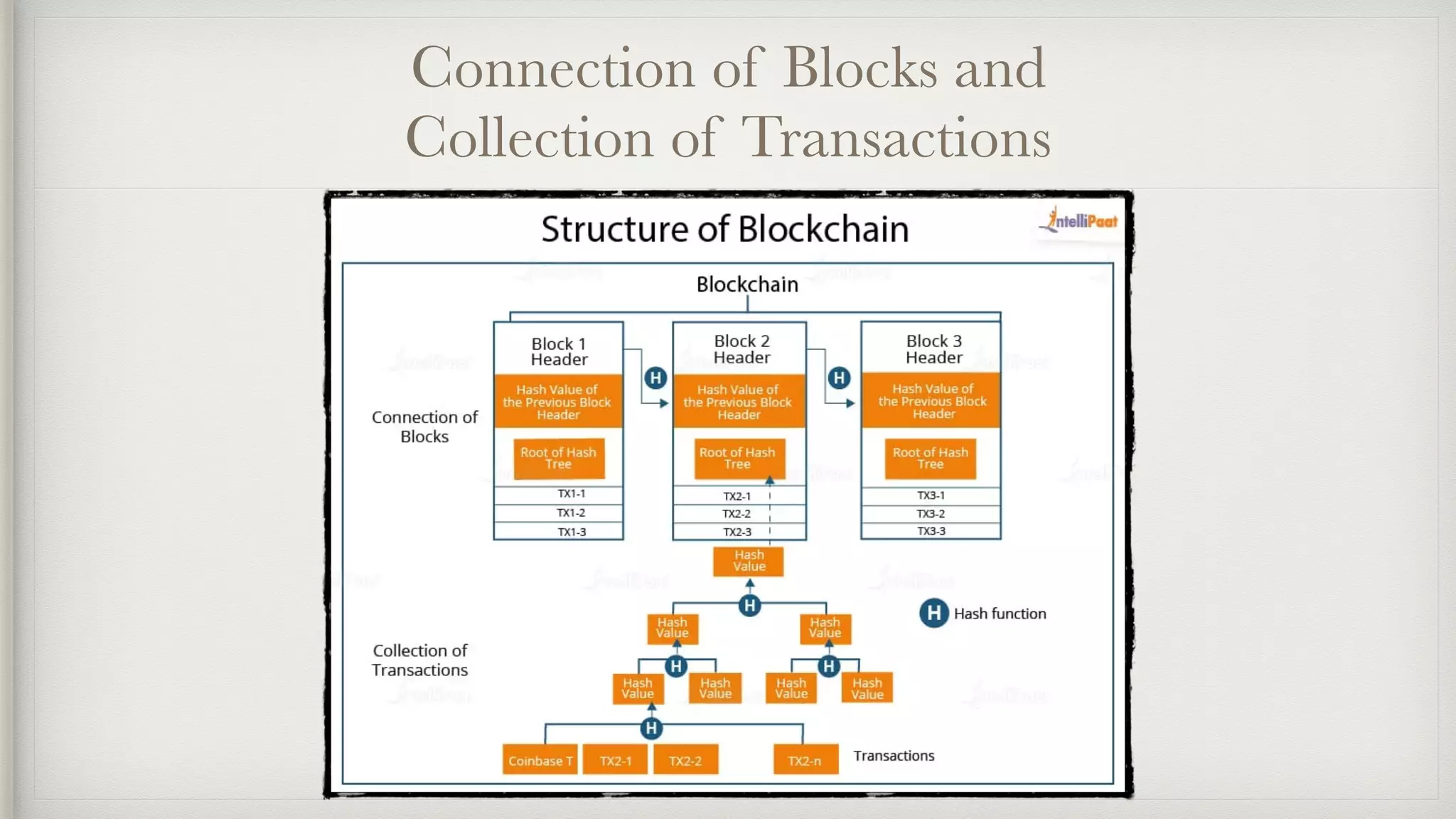 Connection of Blocks and
Collection of Transactions
 
