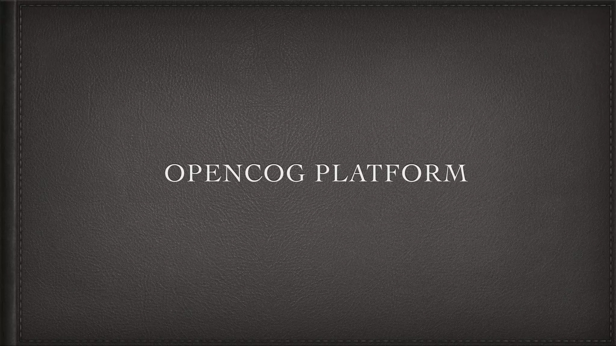 OPENCOG PLATFORM
 