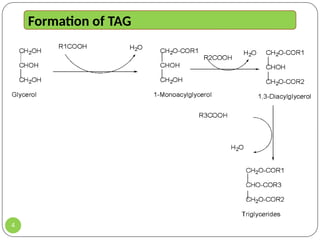 LECTURE_6_LIPID_CHEMISTRY LECTURE_6_LIPID_CHEMISTRY.pptx