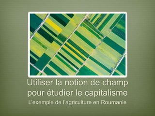 Utiliser la notion de champ
pour étudier le capitalisme
L’exemple de l’agriculture en Roumanie
 