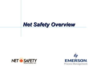 Net Safety Overview
 