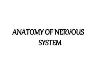 ANATOMY OF NERVOUS
SYSTEM
 