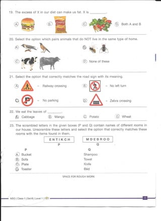 NSO Class 1 Question Paper Set B 2017
