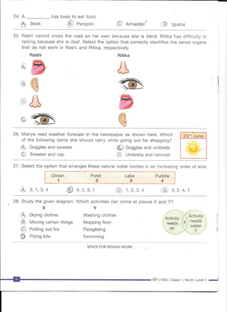 NSO Class 1 Question Paper Set B 2017