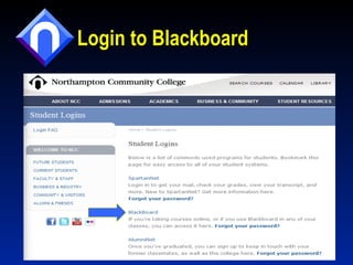 Login to Blackboard 