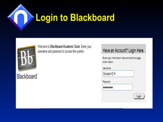 Login to Blackboard 