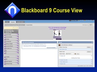 Blackboard 9 Course View 