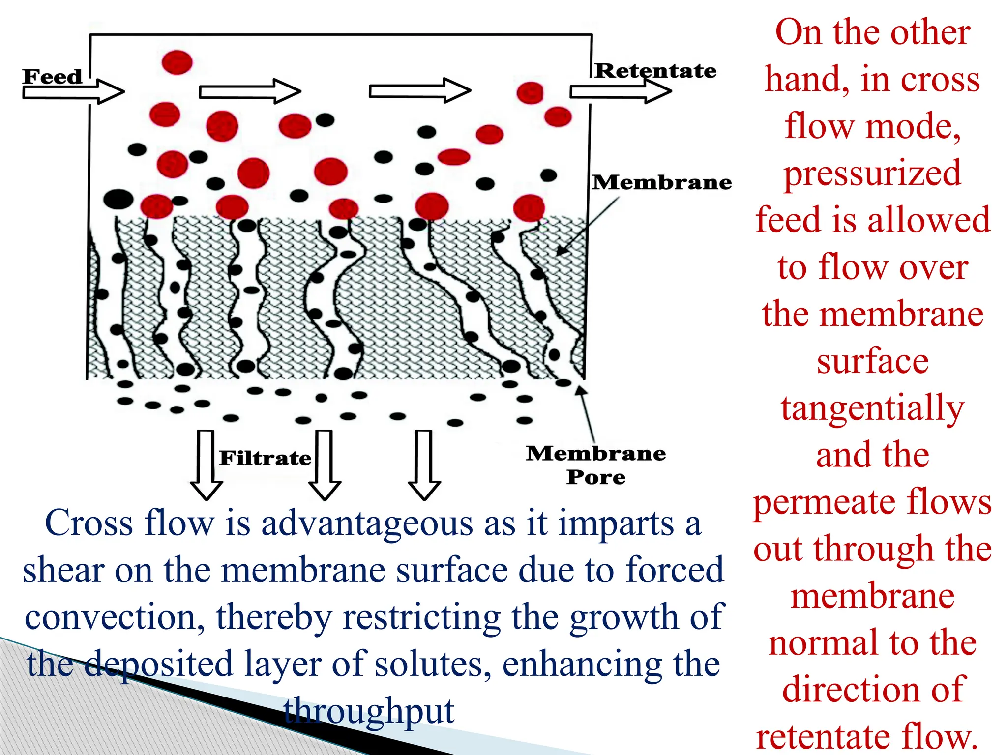 On the other
hand, in cross
flow mode,
pressurized
feed is allowed
to flow over
the membrane
surface
tangentially
and the
permeate flows
out through the
membrane
normal to the
direction of
retentate flow.
Cross flow is advantageous as it imparts a
shear on the membrane surface due to forced
convection, thereby restricting the growth of
the deposited layer of solutes, enhancing the
throughput
 