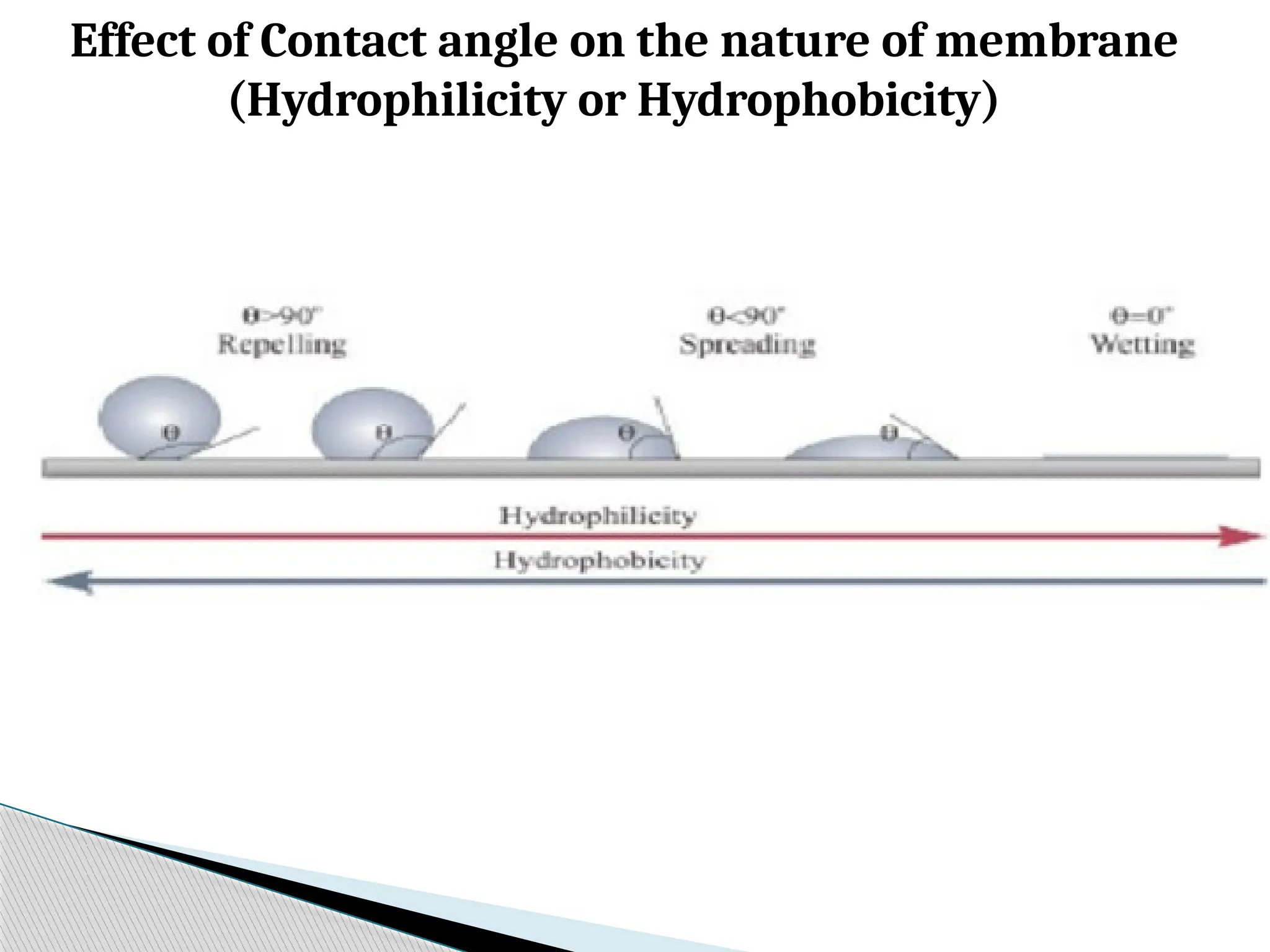 Effect of Contact angle on the nature of membrane
(Hydrophilicity or Hydrophobicity)
 