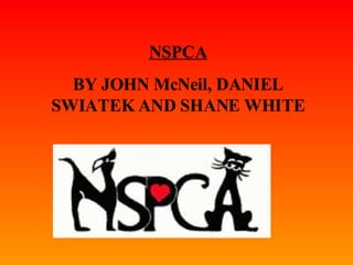 NSPCA BY JOHN McNeil, DANIEL SWIATEK AND SHANE WHITE 