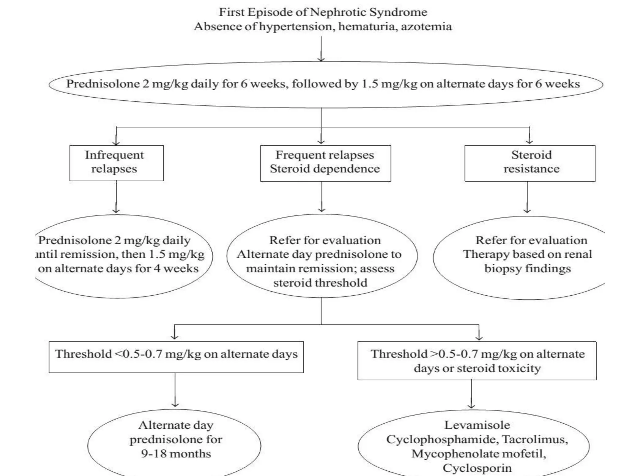 Nephrotic syndrome and its treatment protocols | PPTX