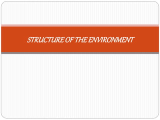 STRUCTURE OF THE ENVIRONMENT 
 