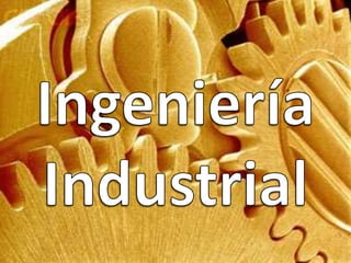 Ingeniería Industrial 