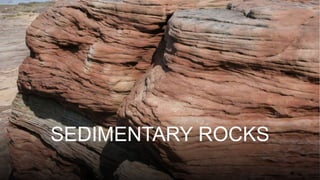 SEDIMENTARY ROCKS
 