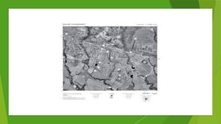 Comprehensive Guide to Topographic and Orthophoto Maps and Their Scales ...