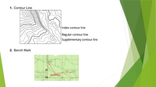 Comprehensive Guide to Topographic and Orthophoto Maps and Their Scales ...