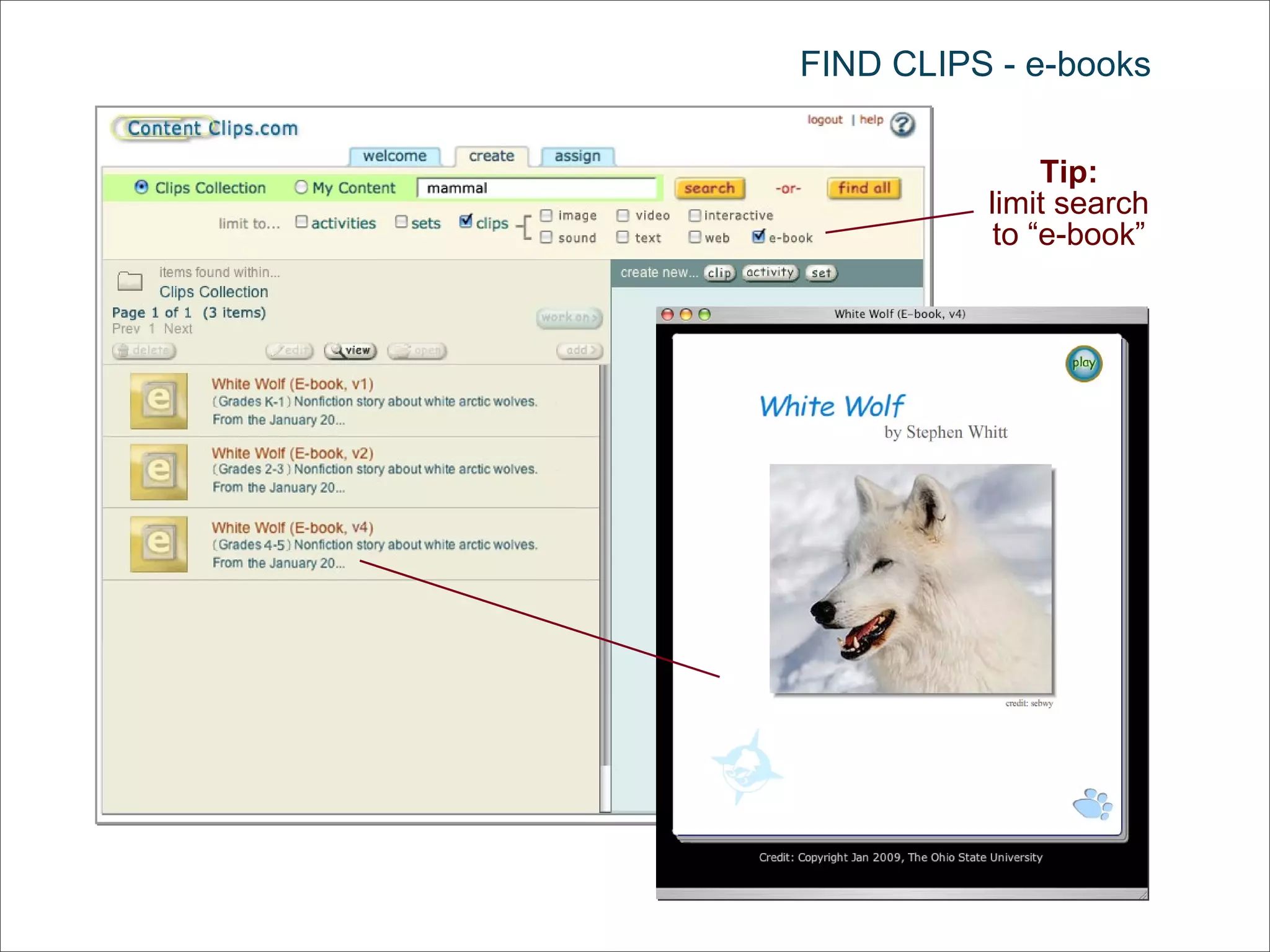 FIND CLIPS - e-books Tip: limit search to “e-book” 