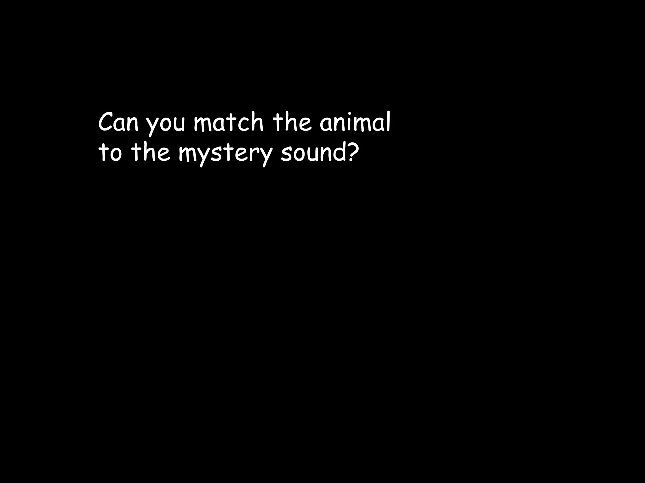 Mystery Sounds  (BLACK) Can you match the animal to the mystery sound? 