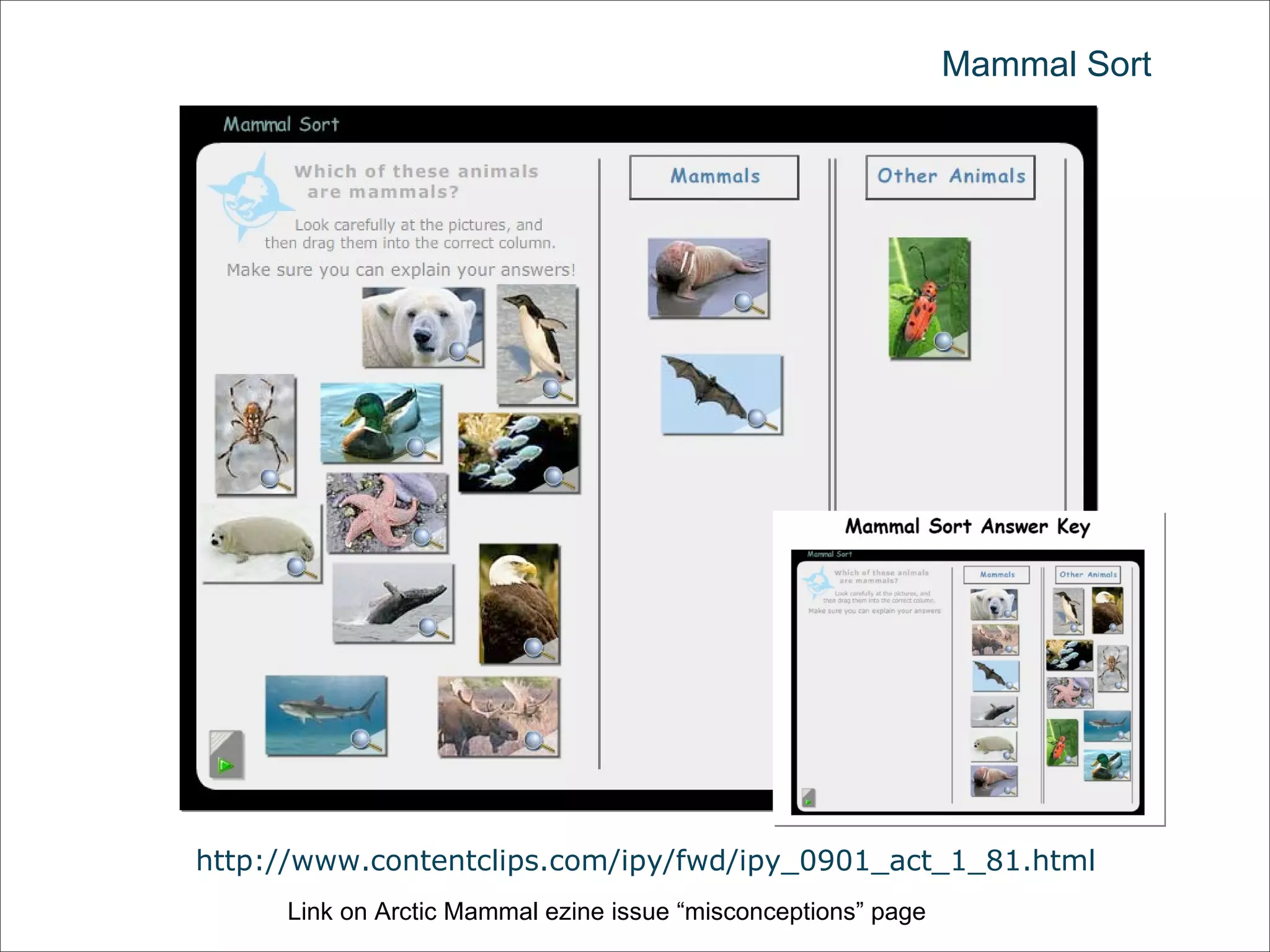 Mammal Sort http://www.contentclips.com/ipy/fwd/ipy_0901_act_1_81.html Link on Arctic Mammal ezine issue “misconceptions” page 