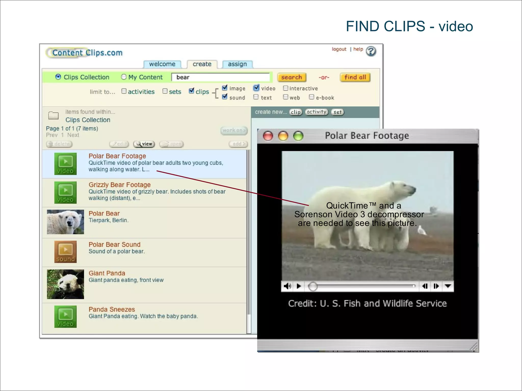 FIND CLIPS - video 