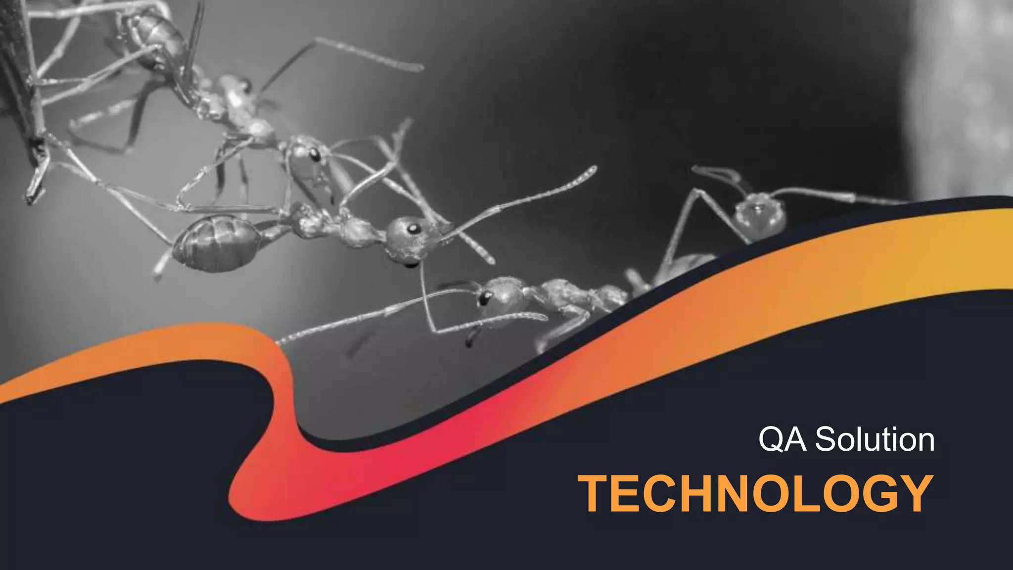 QA Solution
TECHNOLOGY
 