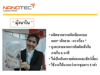 “ มุ้งนาโน ”
- ผลิตจากสารสกัดเลียนแบบ
ดอก“ เก๊กฮวย - ดาวเรือง ”
- ยุงจะตายจากการสัมผัสเส้นใย
ภายใน 6 นาที
- ไม่เป็นอันตรายต่อคนและสัตว์เลี้ยง
- ใช้งานได้นานกว่าการชุบสาร 5 เท่า
 