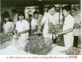 ดร. พิจิตต รัตตกุล รมช. วทพ. ผลักดันการจัดตั้งศูนย์พนธุวศวกรรมฯ และ STDB
                                                    ั ิ
 