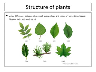 ns technology grade 4
