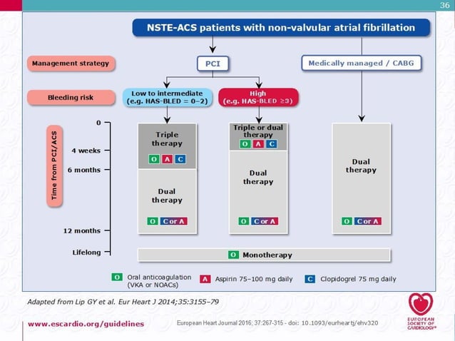 New Update NSTEMI Guideline 2018, PERKI | PPT