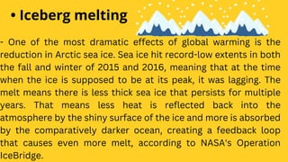 • Iceberg melting
- One of the most dramatic effects of global warming is the
reduction in Arctic sea ice. Sea ice hit record-low extents in both
the fall and winter of 2015 and 2016, meaning that at the time
when the ice is supposed to be at its peak, it was lagging. The
melt means there is less thick sea ice that persists for multiple
years. That means less heat is reflected back into the
atmosphere by the shiny surface of the ice and more is absorbed
by the comparatively darker ocean, creating a feedback loop
that causes even more melt, according to NASA's Operation
IceBridge.
 