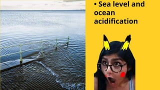 • Sea level and
ocean
acidification
 