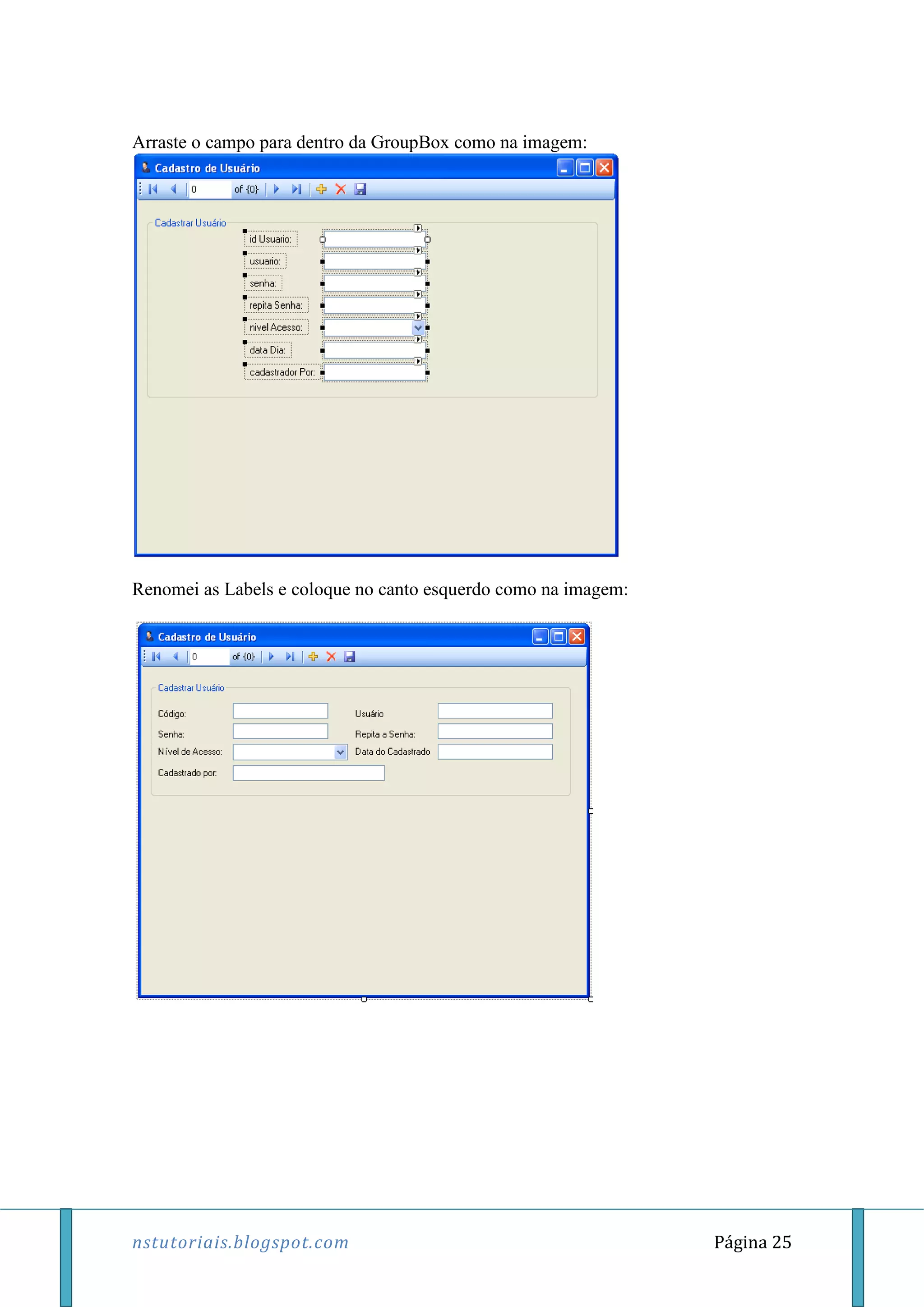 nstutoriais.blogspot.com Página 25
Arraste o campo para dentro da GroupBox como na imagem:
Renomei as Labels e coloque no canto esquerdo como na imagem:
 