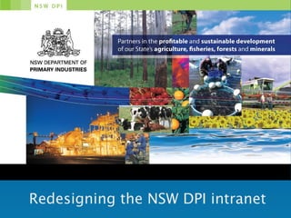 Redesigning the NSW DPI intranet 