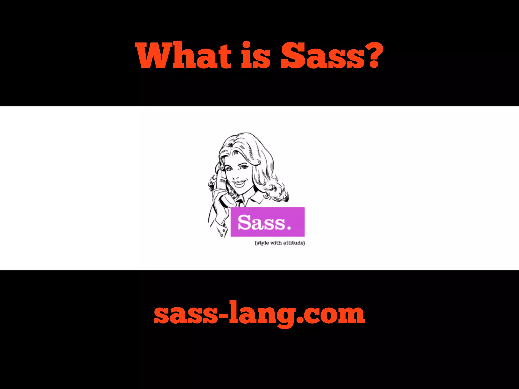 What is Sass?




sass-lang.com
 