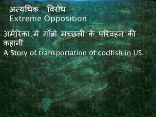 अमेररका में गॉब्रो मच्छली के पररवहन की
कहानी
A Story of transportation of codfish in US.
 