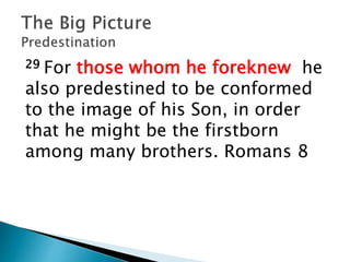 29 For those whom he foreknew he
also predestined to be conformed
to the image of his Son, in order
that he might be the firstborn
among many brothers. Romans 8
 