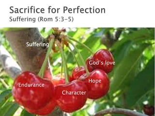 Endurance
Character
Hope
God’s love
Suffering
 