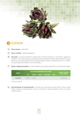 5
1     ALCACHOFRA

N     Nome popular – Alcachofra

N     Nome científico – Cynara scolymus L.

...   Descrição – A parte comestível é o botão floral. É fonte de vitamina C, ácido fólico, magnésio e
      potássio. É uma cultura perene, plantada por brotos retirados de plantas selecionadas. As mudas
      devem ter uma parte subterrânea que contenha algumas raízes e a parte aérea com 5 a 7 folhas.
      De cada planta são colhidos cerca de 20 botões.

      Época e regiões para plantio – A cultura exige frio para se desenvolver bem, mas é sensível a geada.


                                         ÉPOCA MAIS RECOMENDADA PARA PLANTIO
                                                                                        INÍCIO DE COLHEITA
             ESPÉCIE 
                                                                                          (após o plantio) 
                                Sul        Sudeste    Nordeste   Centro-Oeste   Norte

            ALCACHOFRA       FEV./MAR.    FEV./MAR.        *          *          *        180-200 DIAS


      *Não recomendável



      Recomendações de aproveitamento – As flores são consumidas cozidas. Deve-se retirar a parte
      fibrosa central de cada alcachofra, isto é, os “espinhos”. Pode acompanhar carnes ou compor
      molhos e tortas.




                                                      12
 